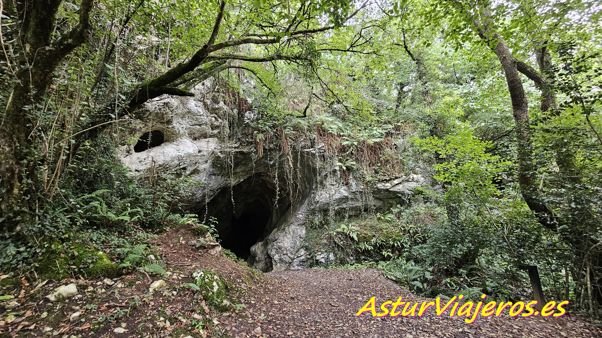 Cuevas que debes visitar en Asturias: tesoros bajo tierra