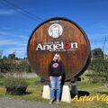 Viuda de Angelón: experiencia de Sidraturismo